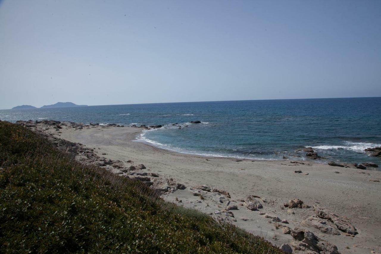Alexandros Villa Αγία Παρασκευή Εξωτερικό φωτογραφία
